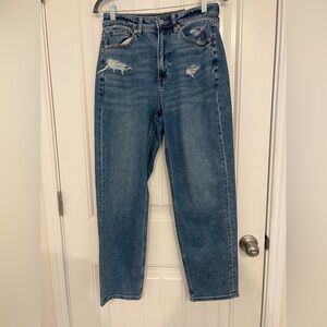 American Eagle Mom Straight Jeans